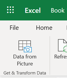 Screen shot showing part of the Excel ribbon that allows the user to import data from a picture